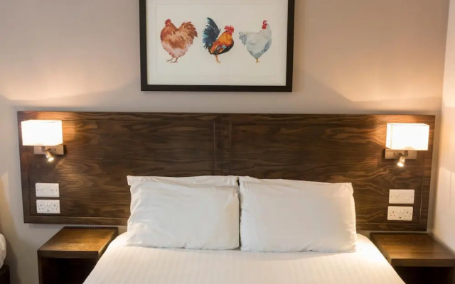 Starling Cloud, Aberystwyth by Marston’s Inns