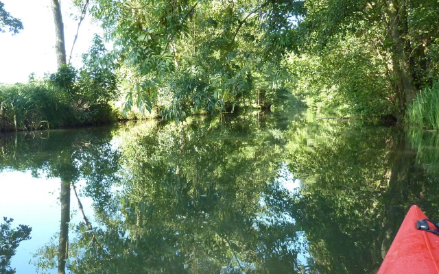 Spreewald - Pension Spreeaue