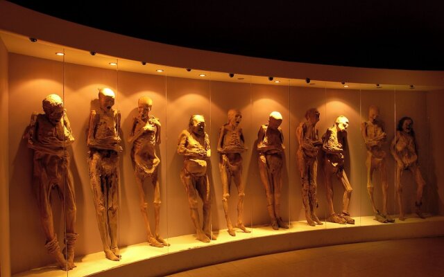 Hotel La Colección, Universidad de Guanajuato, Centro