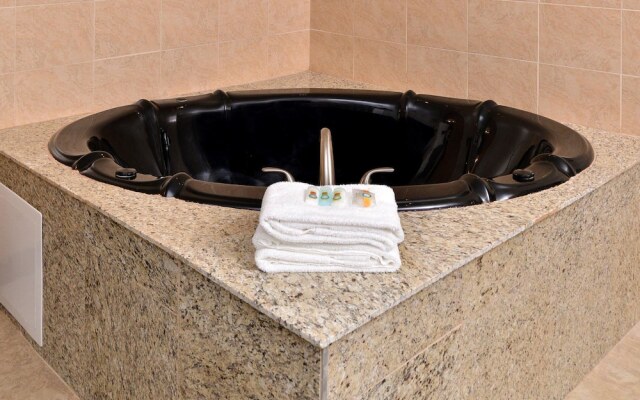 Quality Inn & Suites Matteson