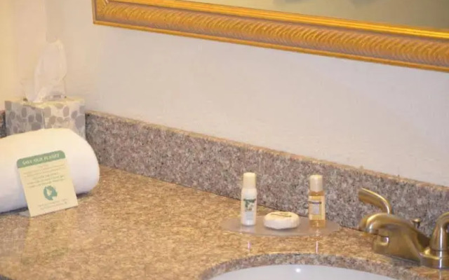 The Springs Hotel and Spa