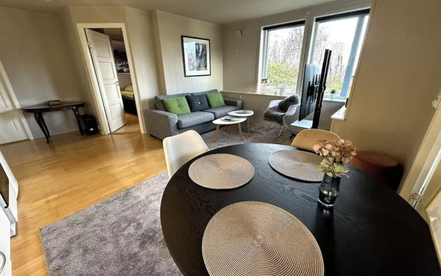 Aurora Borealis Apartment - Sleeps 3 - Parking