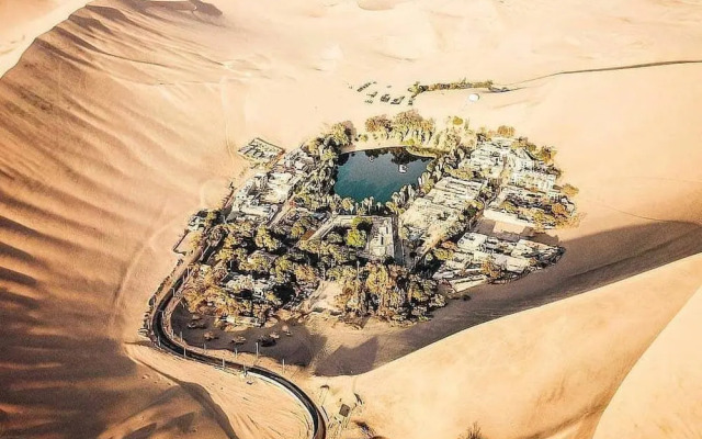 Hostel Mr. Llama Lodge