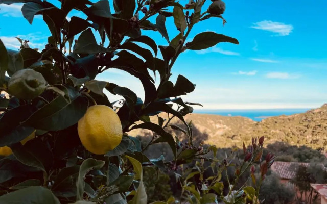 Résidence Pietra Di Sole