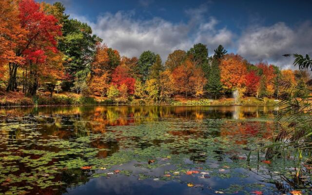 kr 5 Min Duterminusfridgeparkwificamras