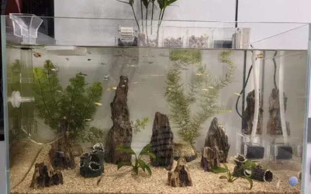 Wuyuan Yanyanju | Parent-child picking · Zhou-side fishing·Haven homestay