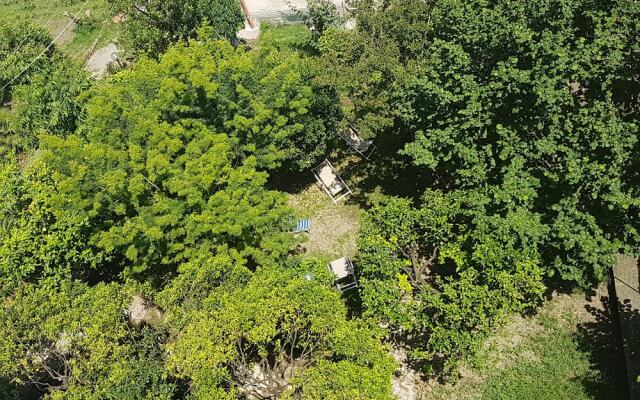 Il Giardino Di Vico Neve