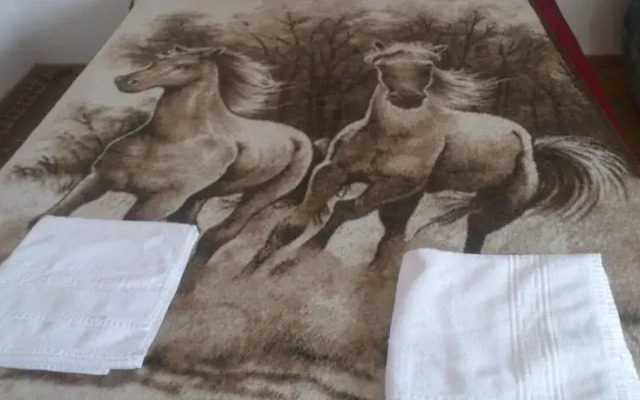 Levendula Vendégház - фото 3