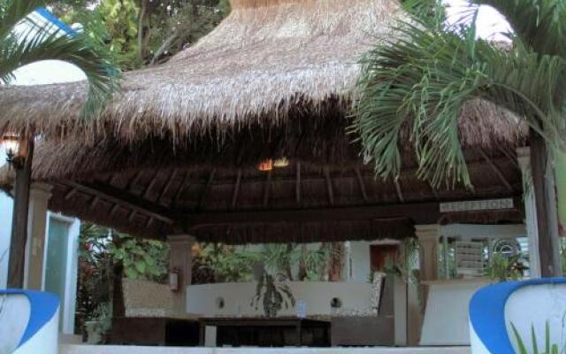 Tropical Casablanca Party Zone