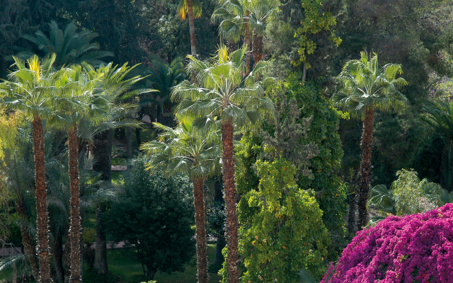 Es Saadi Marrakech Resort Palace