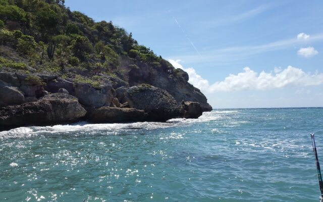 The Inn At Great Bay Treasure Beach Jamaica