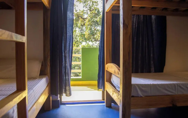 Green Nest Hostel &Guest House North Goa Baga-Arpora