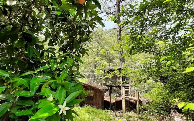 Altaris Bungalows Olympos