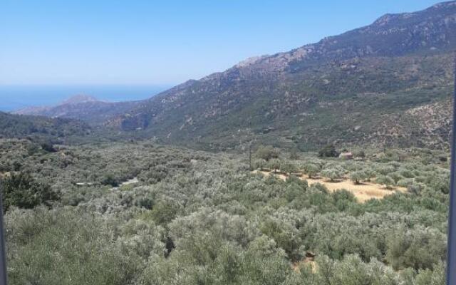view home