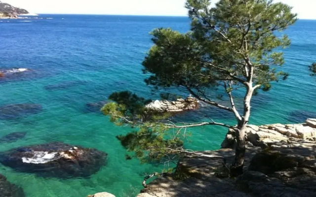 Apartment in Llafranc - 104762 by MO Rentals