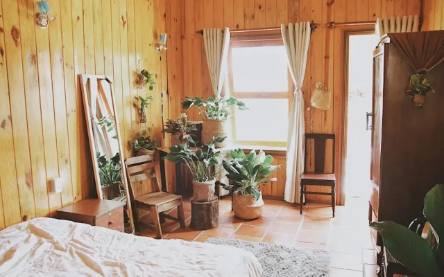 Mint Haus