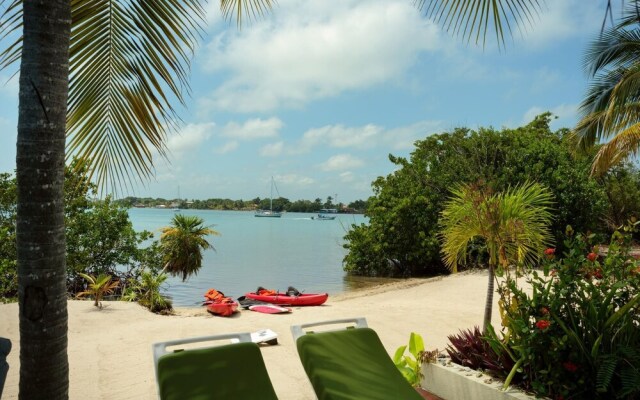 Villa Island Time Gecko