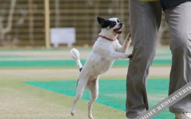 Ryokusuitei Katsuura Annex Suika