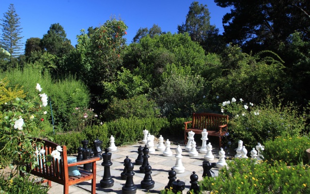 Knysna Hollow Country Estate