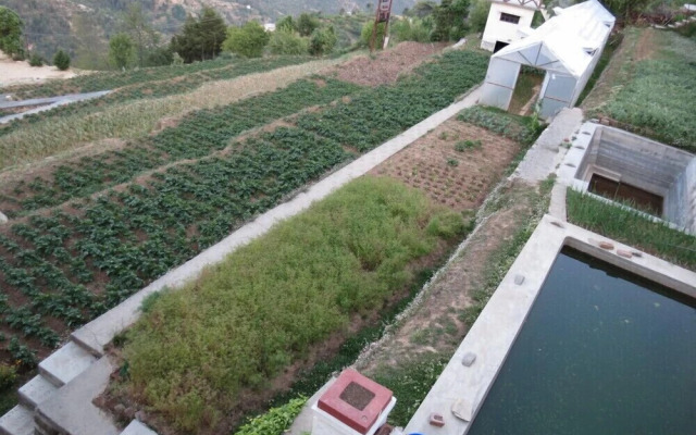 Trishul Orchard Resort