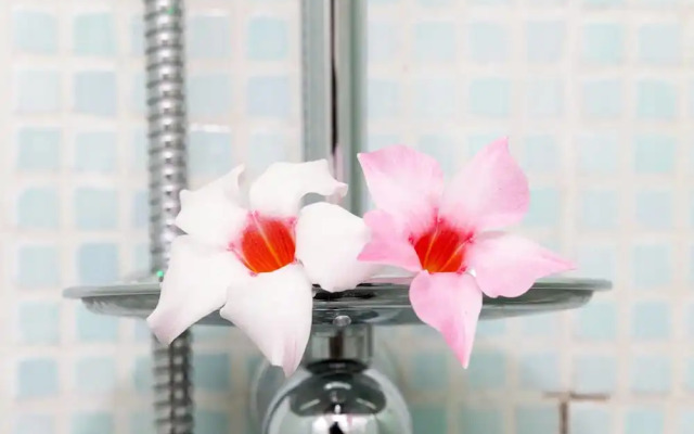 Trastevere Garibaldy Apartments