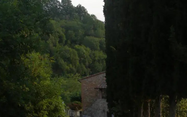Podere Dell'Orso