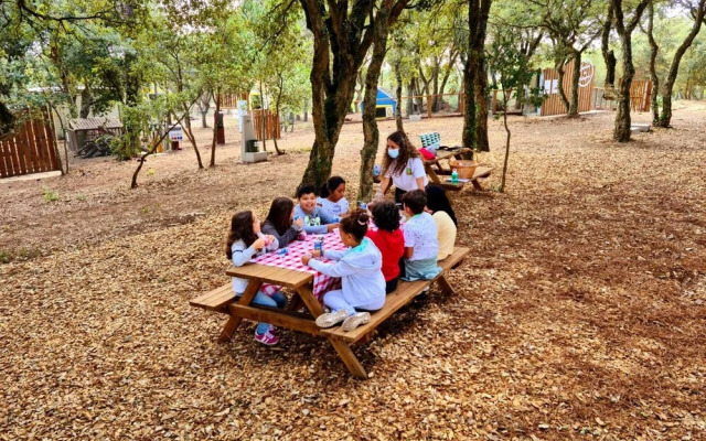 Natura Fun House & Camping