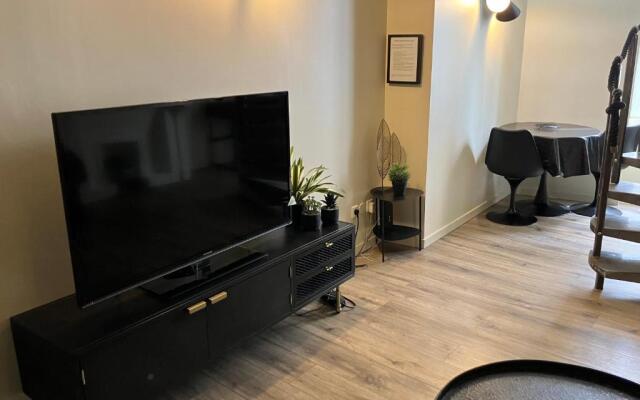 Duplex Viennois