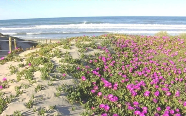 Residencial OlivalAcceso privado playa por jardín