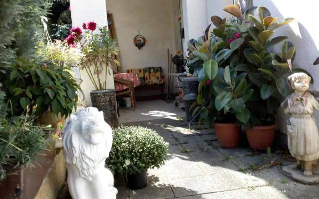 Dach-Studio-Runkel Schadecker Straße 6