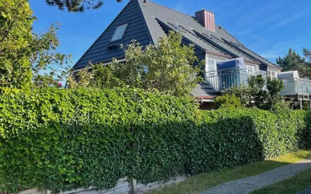 Friesenhaus-Maren-Sterntaucher