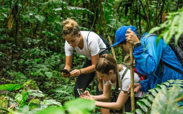 Cotococha Amazon Lodge - Napo River Lodge