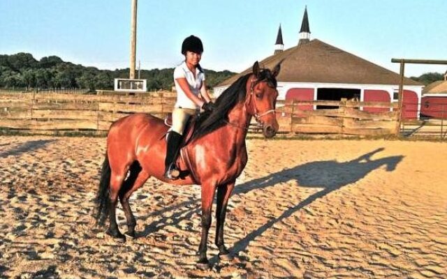 Kenny's Tipperary Inn