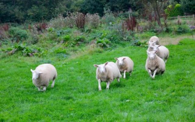 Barton Gate Farm Guesthouse