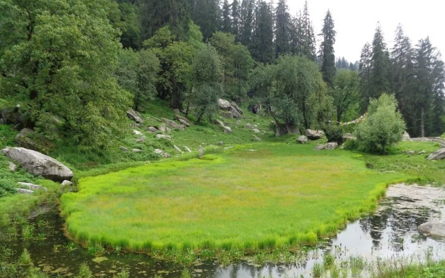 The Himalayan Alpine Resort