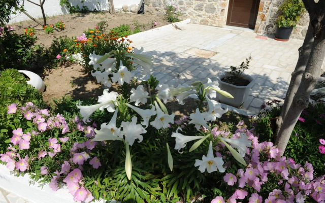 Spring Studios