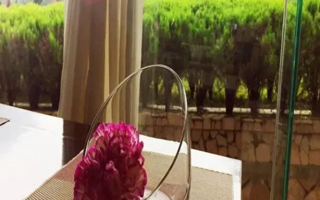 Yaoxi Dynasty Hotel - Wenzhou