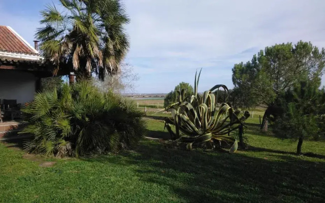 Monte do Sobral