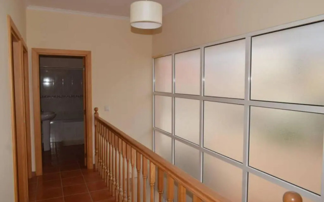 O DRAGOEIRO da Madalena!