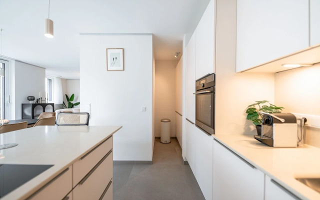 New high-end 2 BR Penthouse w Balcony