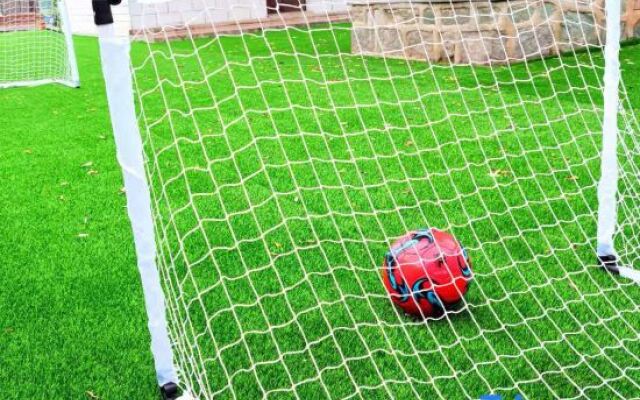 Leisure Pond-Childhood Joy Volley Lodge