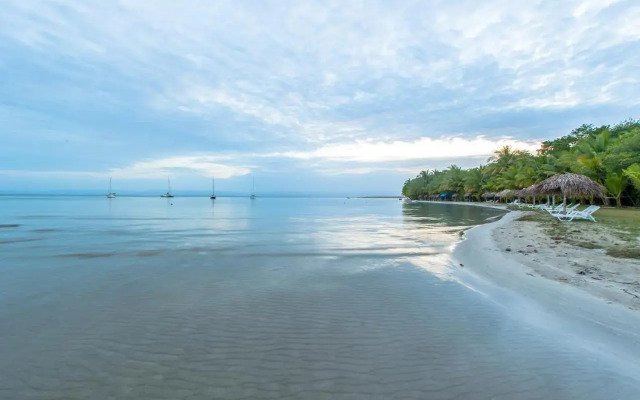 Bocas Condos Rentals