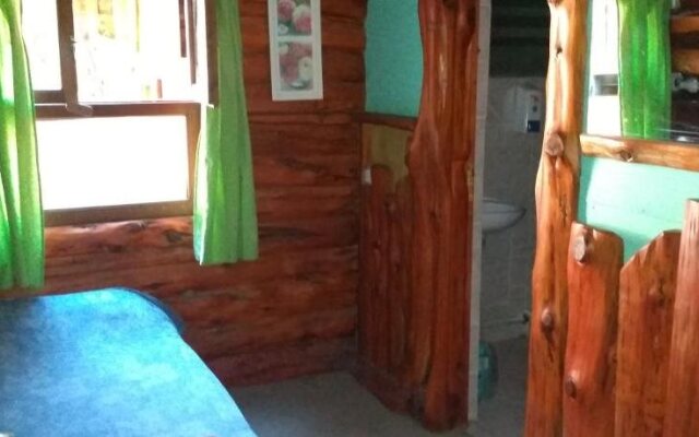 Wood House Hostel