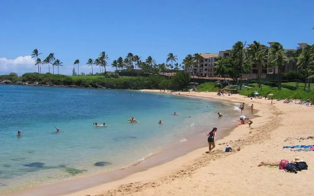 South Maui Luxury Rentals