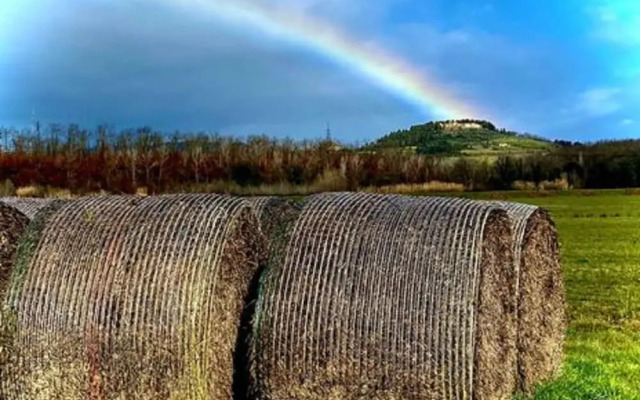 "la Casa Delle Bimbe"