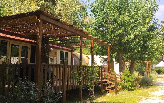 Camping Campo al Fico