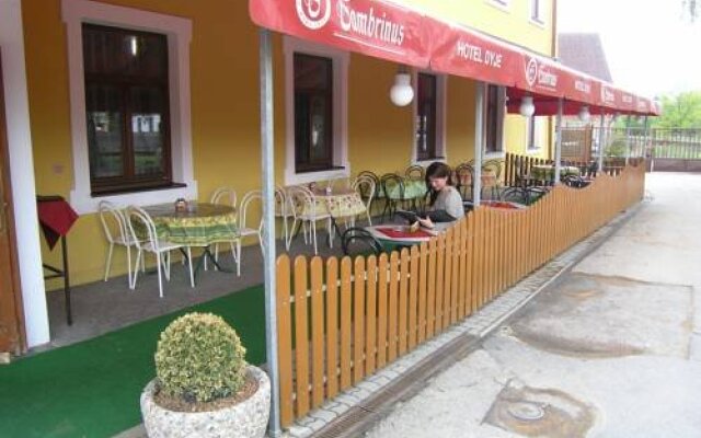 Hotel Dyje