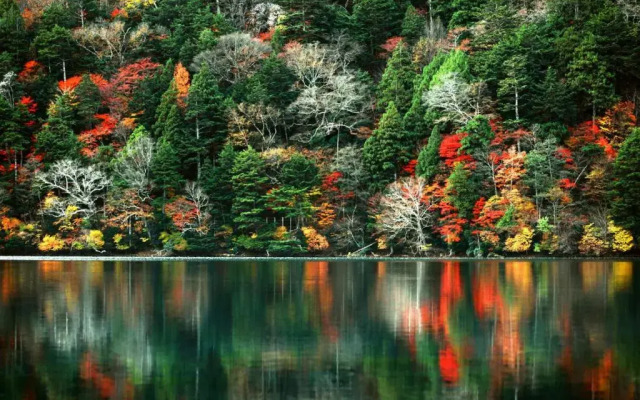 Four Points Flex by Sheraton Utsunomiya