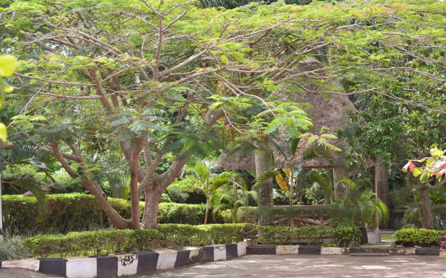 St. Patrick’s Forest House