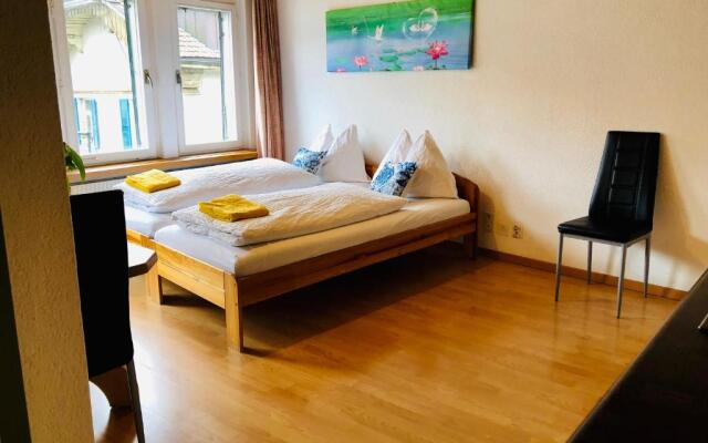Central Beauty Scenery Apartment